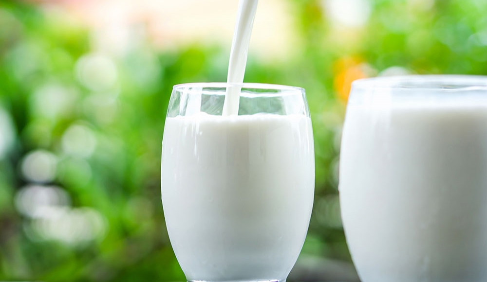本当に有効なカルシウム食材とは？実は危険な牛乳神話！成長期のカルシウム不足に要注意！