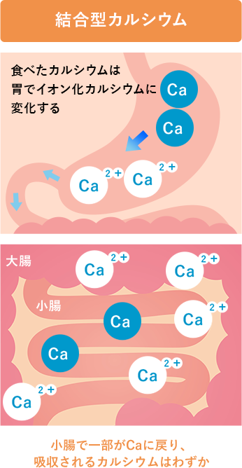 総合型カルシウム