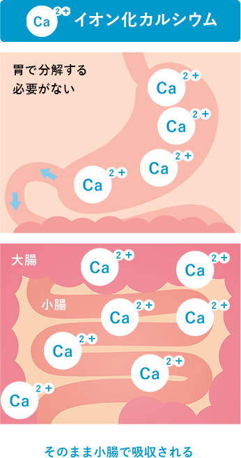 イオン化カルシウム