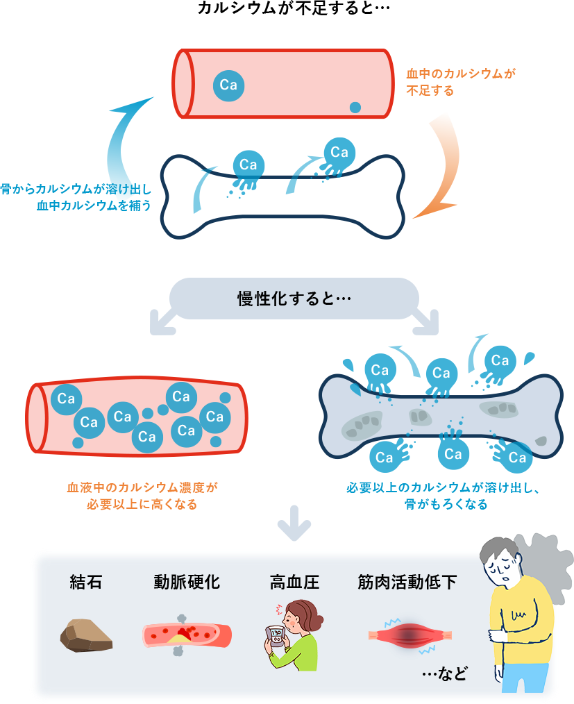 カルシウムが不足すると様々な体調不良を引き起こす