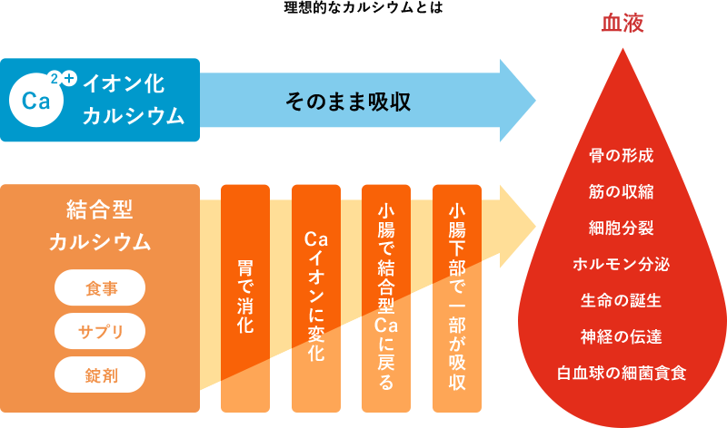 理想的なカルシウムの図