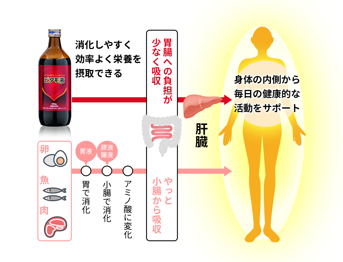 消化しやすく効率よく栄養を摂取できるので胃腸への負担が少なく吸収。身体の内側から毎日の健康的な活動をサポート