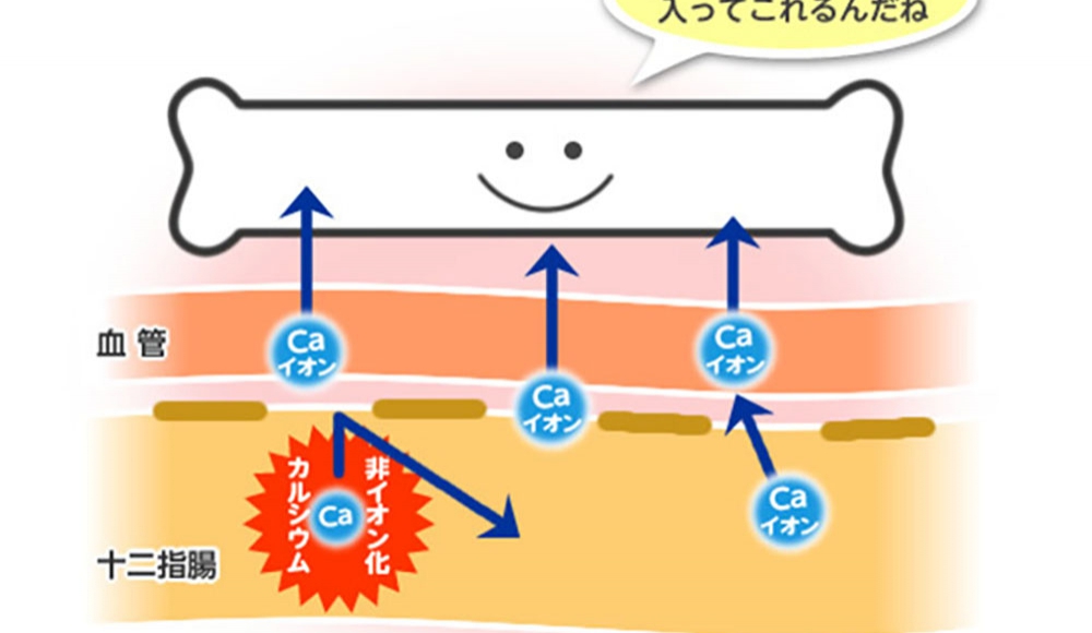 カルシウムは有害？