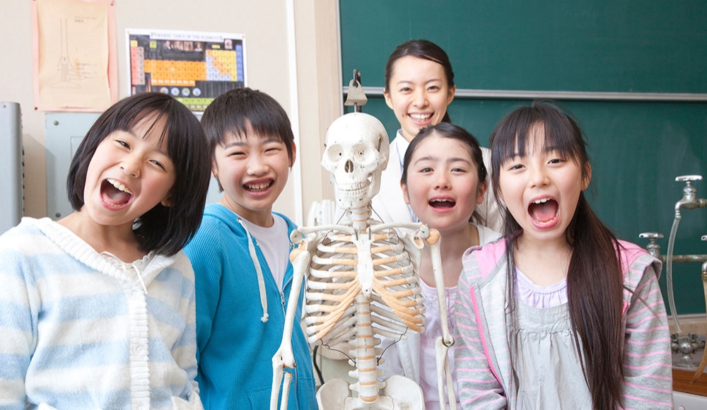 カルシウムと骨の男女差