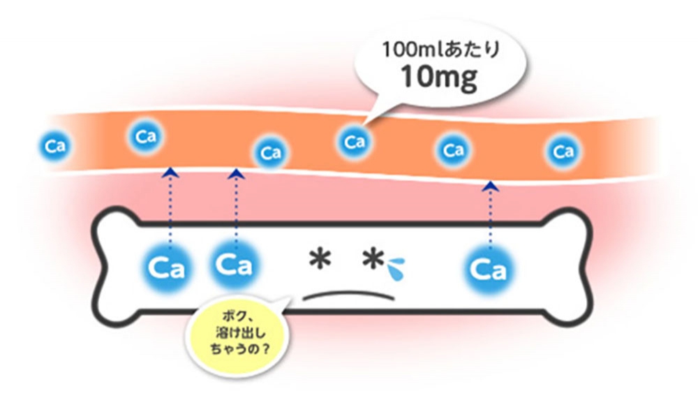 カルシウムの体内での動きと働き