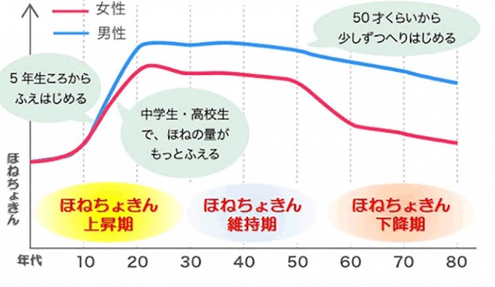 はじめよう「 ほねちょきん 」